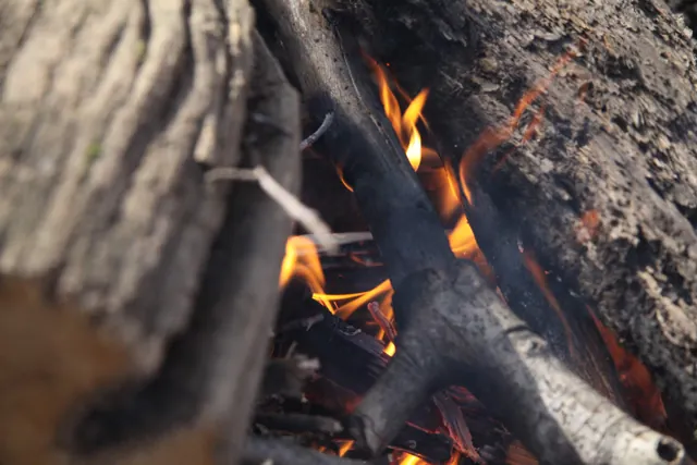 Feuer und Leben im Camp