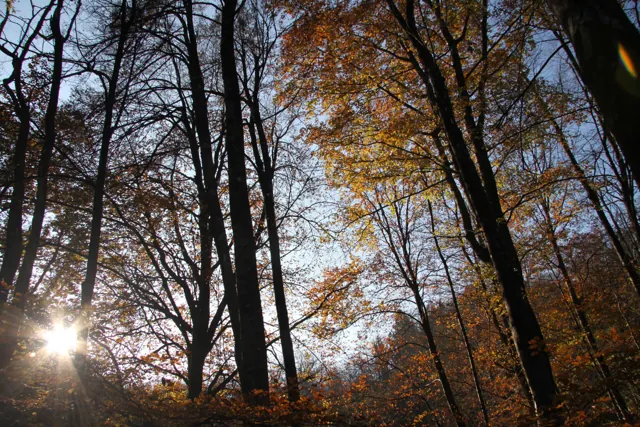 Licht durchzieht die Landschaft